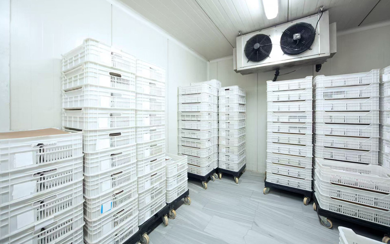 كفاءة الموارد والإشراف البيئي