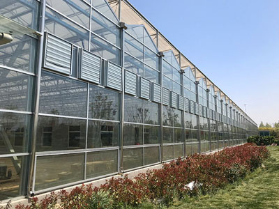 ترقية جديدة لمروحة الطرد المركزي من SunxFan ذات المدخل المزدوج: تقنية تحويل التردد EC تساعد الدفيئات الزراعية بدون تربة على تحقيق التهوية الفعالة والتحكم في درجة الحرارة