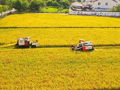 من قطف القطن إلى الحصاد ، مراوح الطرد المركزي ذات مدخل مزدوج بتردد متغير SunxFan EC