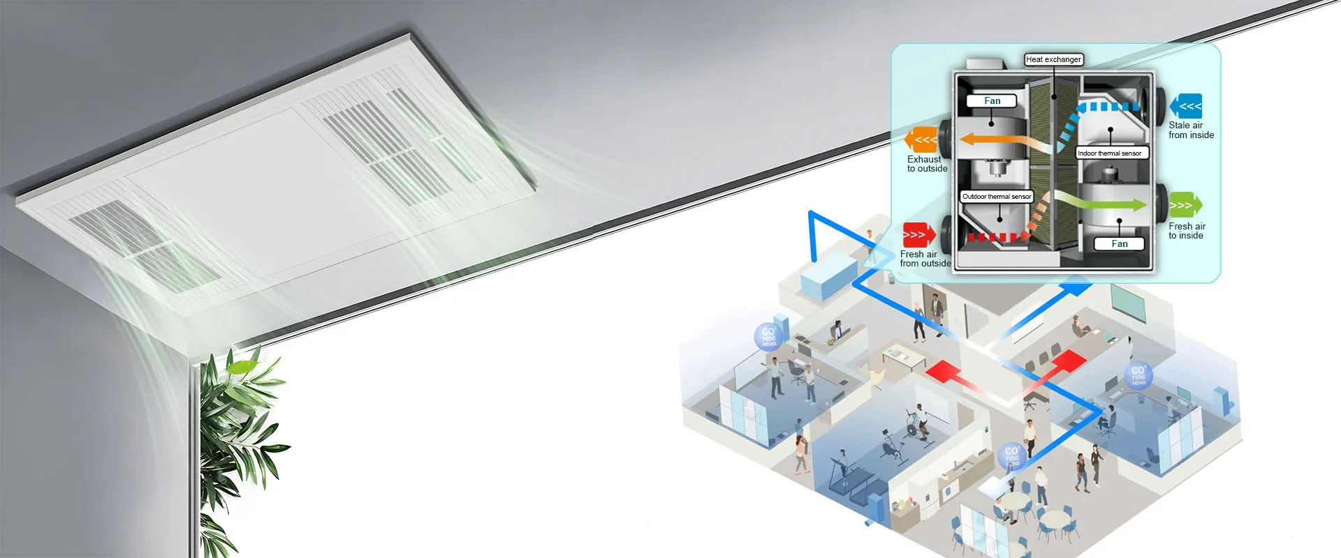تتنفس الخوارزمية ، تتطور الرياح.